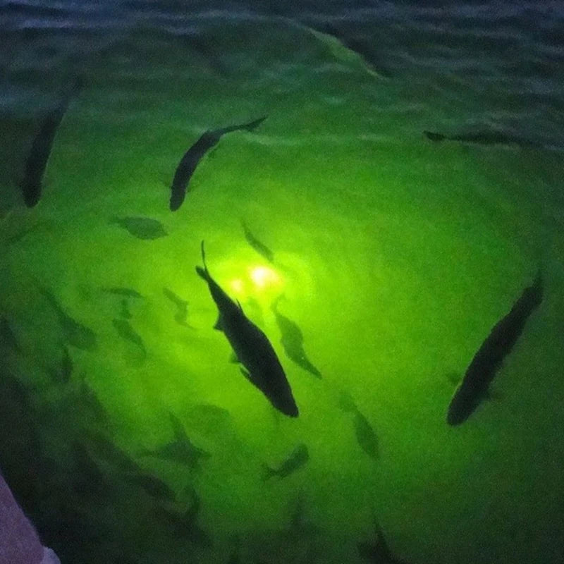 70W DC 12V LED Fishing Light 108 LED Bait Submersible Fishing Light Underwater Crappie Lure Green Night Fishing Finder Oasis Select