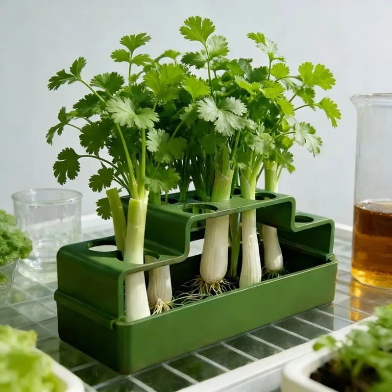 Indoor Hydroponic Planting Box Dedicated Green Onion Growing Device Soilless Cultivation Pot for Home Vegetable Planting Oasis Select