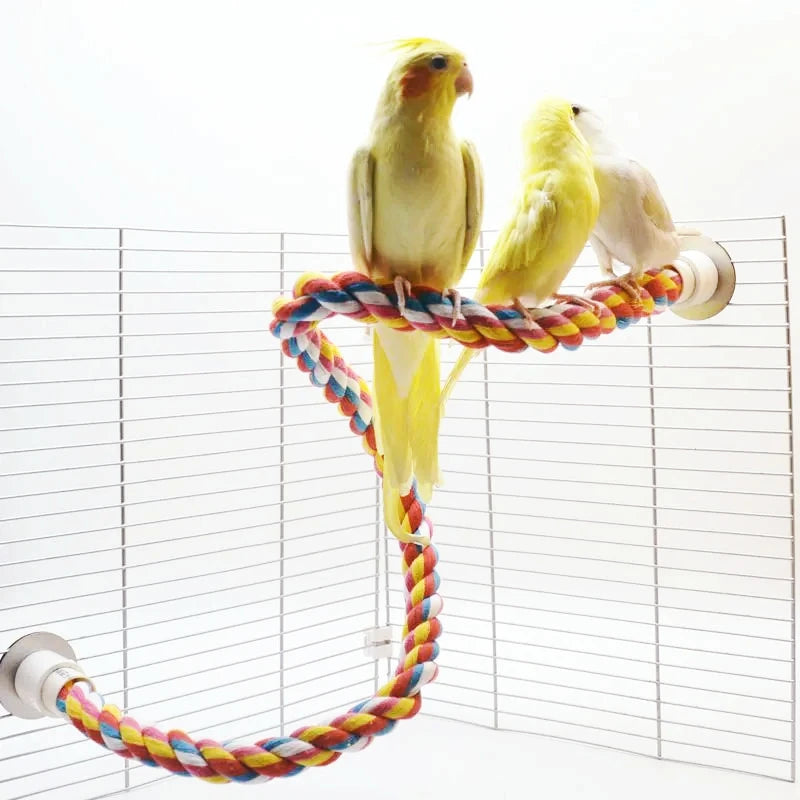 Pet Bird Standing Toys for Parrots Cockatiel Agapornis Parakeet Perch Bird Cages Accessories Bendable Swing Rope Perching Sticks Oasis Select