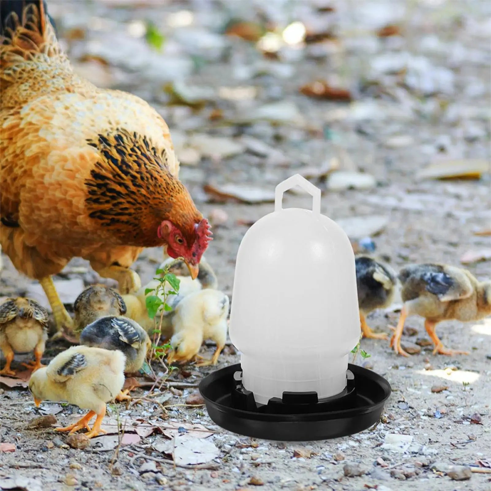 Automatic Chicken Waterer Poultry Drinker Duck Waterer for Duck Goose Pigeon Quail Livestock Coop Farm Feeding Drinking Oasis Select