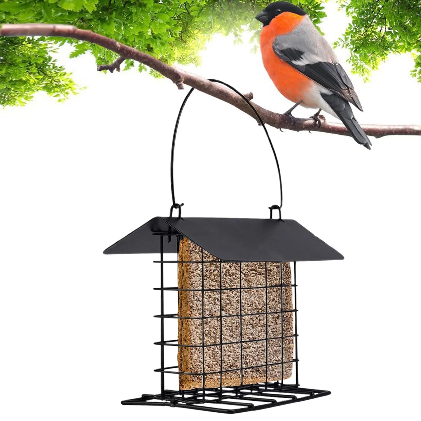 Hanging bird feeder Suet Cakes Cage Bird Feeder washable and reusable feeder wild bird feeder squirrel-proof and weatherproof Oasis Select