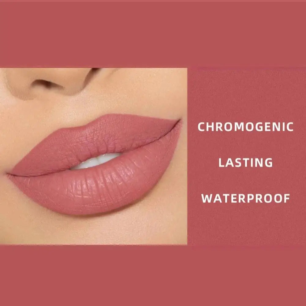 Dragon Ranee Velvet Matte Liquid Lipstick – Waterproof Long-Lasting