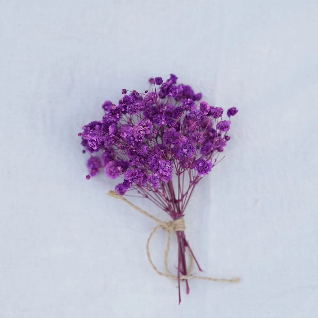Dried Flower Bouquet High-Quality Fingertip Bouquet Greeting Card Decoration Versatile Diy Flower Kit For Diy Projects Event Oasis Select 15