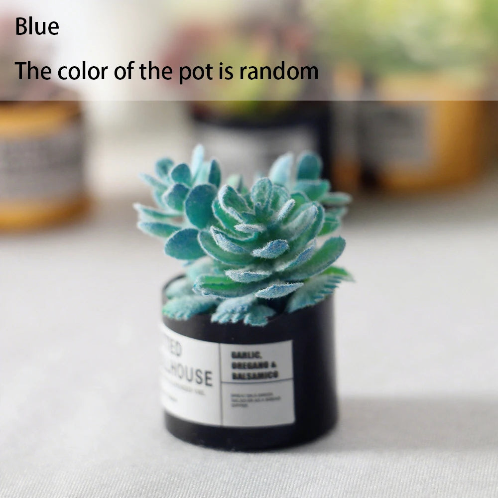 Mini Plastic Succulent Pots Small Succulent Pots Funny Plant Pots Doll House Decor Fairy Garden Micro Landscape Desk Accessories Oasis Select Blue