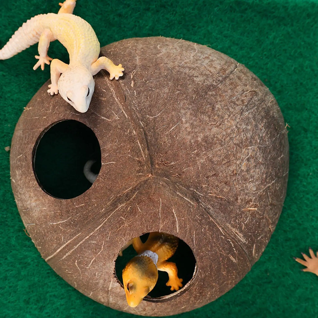 Natural Coconut Shell Reptile Hiding Cave – Turtle & Lizard Hide