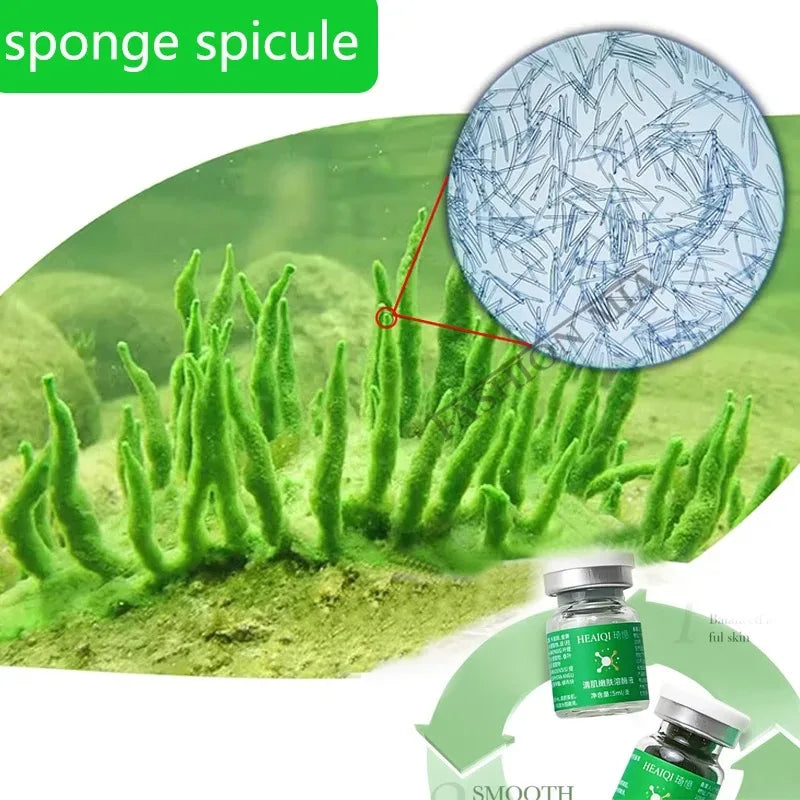 10-Pack Collagen Sponge Spicule Freeze-Dried Mask – Skin Renewal