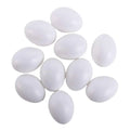 Fake Plastic Eggs Set of 10 – Paintable Easter & Nest Eggs Fake Play Eggs Oasis Select white