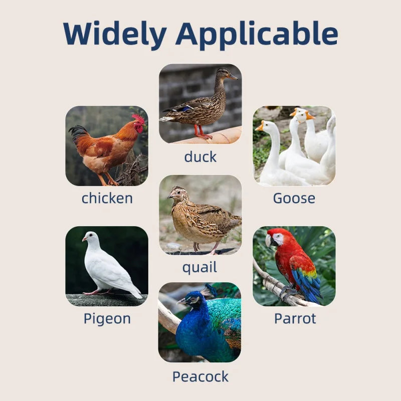 24 Eggs Chicken Bird Incubator Eggs Hatching Machine for Hatching Chicken Duck Quail Automatic Intelligent Farm Supplies Oasis Select