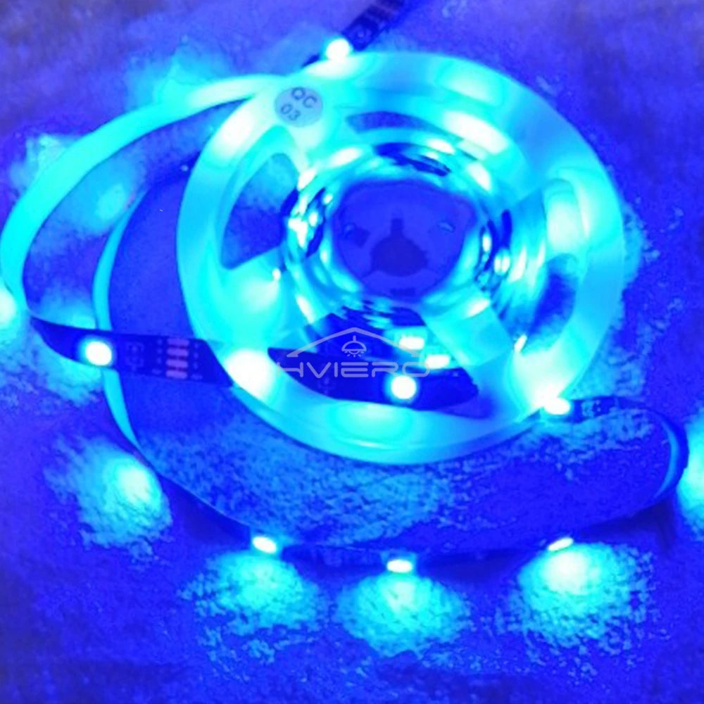 5M 600-LED SMD 2835 Flexible Strip Light DC 12V | HVIERO