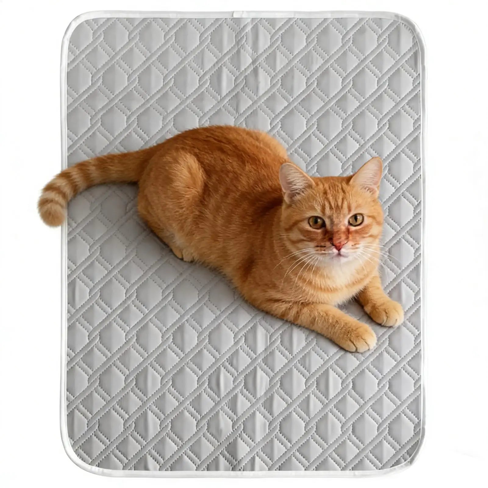 Pet Cooling Pad Summer Cooling Bed Extra Large For Small Big Dogs Pet Accessories Cat Durable Blanket Sofa Cat Ice Pad Blanket Oasis Select