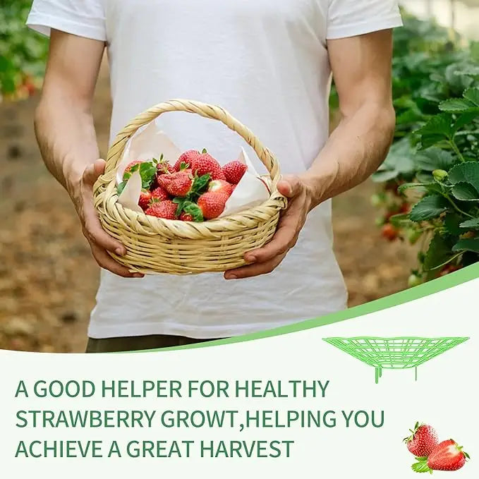 10Pcs Strawberry Plant Support Racks Green 3-Legged Plant Protector Stand for Strawberry Watermelon Garden Planting Accessories Oasis Select