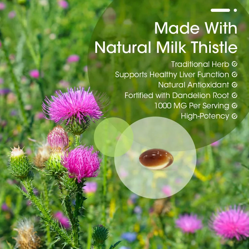 BEWORTHS Milk Thistle Capsules Promote Liver Health, Antioxidant and Free Radical Scavenging Activity. 120 Vegetarian Capsules Oasis Select