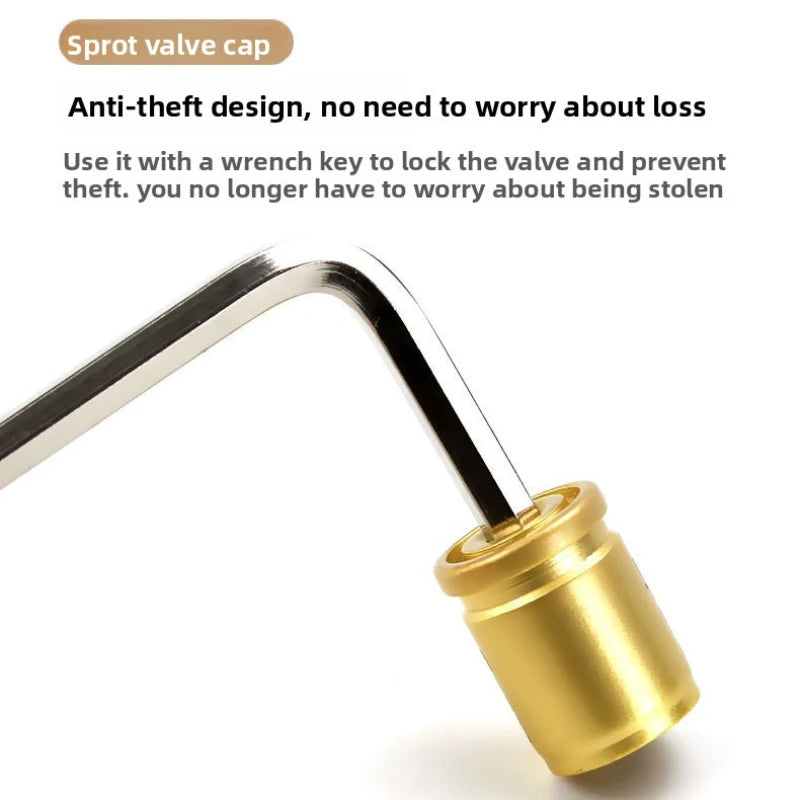 Tire valve stem cap - Universal anti-theft tire valve cap - Aluminum alloy cap - Wheel cap - Suitable for car caps Oasis Select