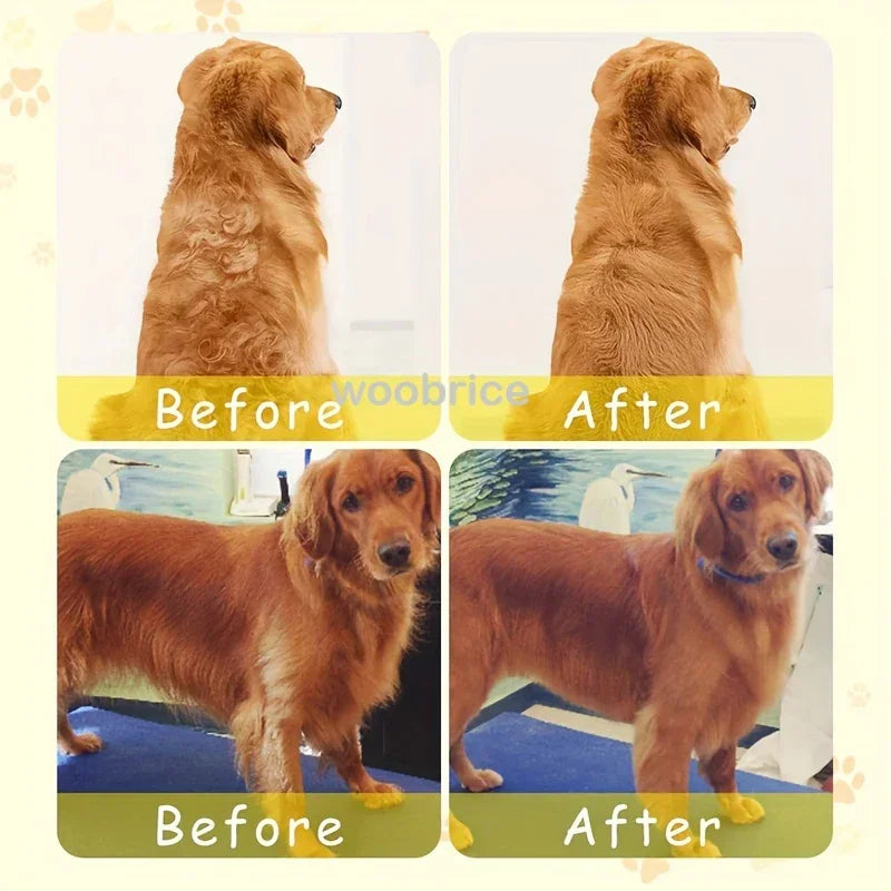 3-in-1 Dog Hair Cat Hair Brush Electric Pet Cleaning Brush Steam Spray Brush Massage Hair Removal Comb Anti Flying Brushes Oasis Select