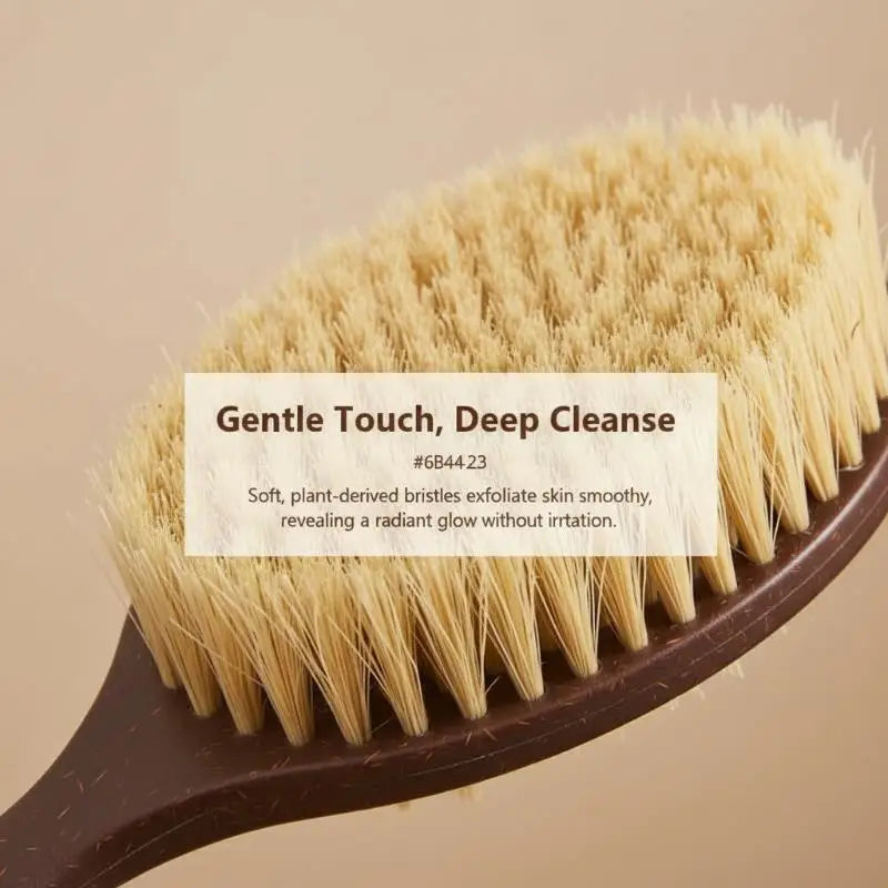 Bristle Body Brush Back Scrubber Brush For Shower Soft Bristle Long Handle Brush Oasis Select