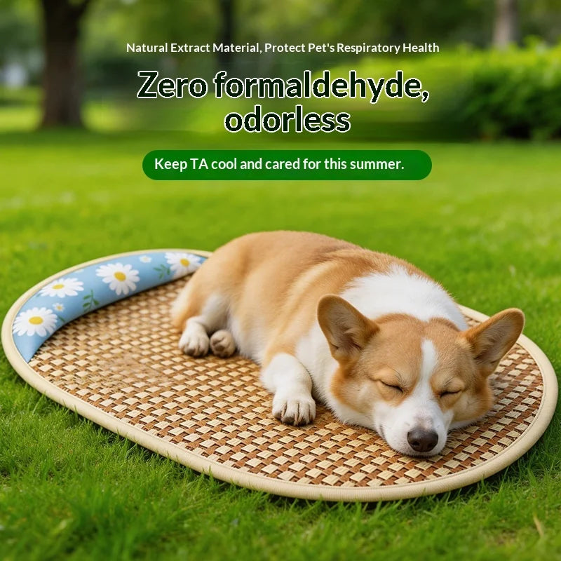 Summer cooling mat dog bed cat bed summer dog house pet supplies for Teddy and small dogs all‑season universal mattress Oasis Select