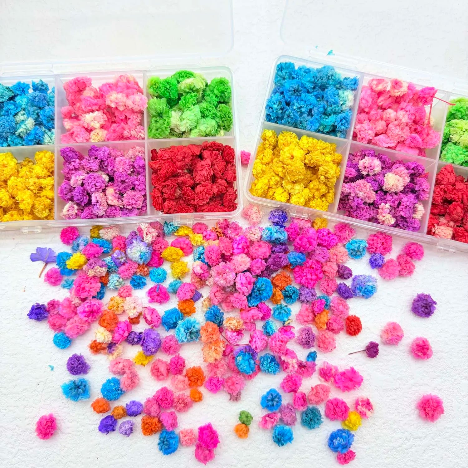 Dried Flowers for Resin, Candle, Soap, Nail Art & DIY Crafts