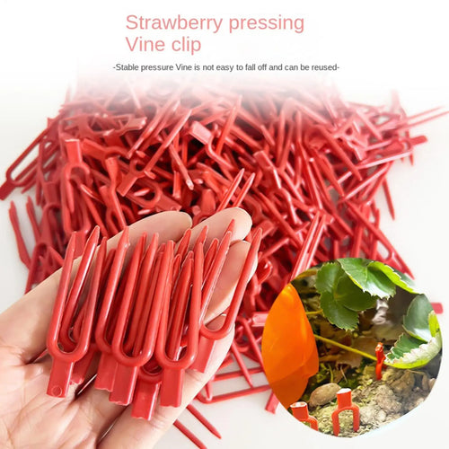 100Pcs Strawberry Planting Fork Stolon Fixator Vine Pressing Device Watermelon Climbing Stem Clips Garden Plants Fastening Clips Oasis Select