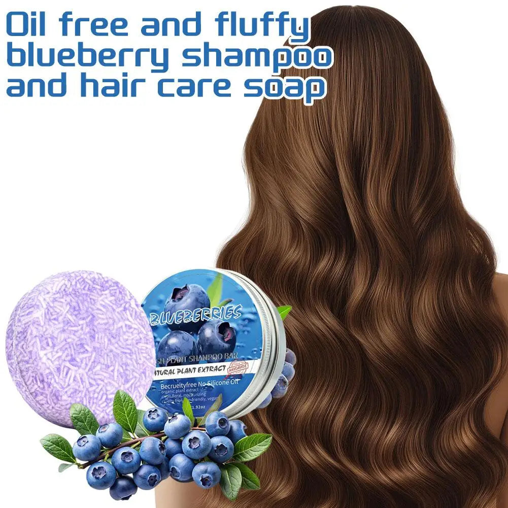 Blueberry Shampoo & Conditioner Bar – Silicone-Free, All Hair Shampoo Conditioner Bar Oasis Select