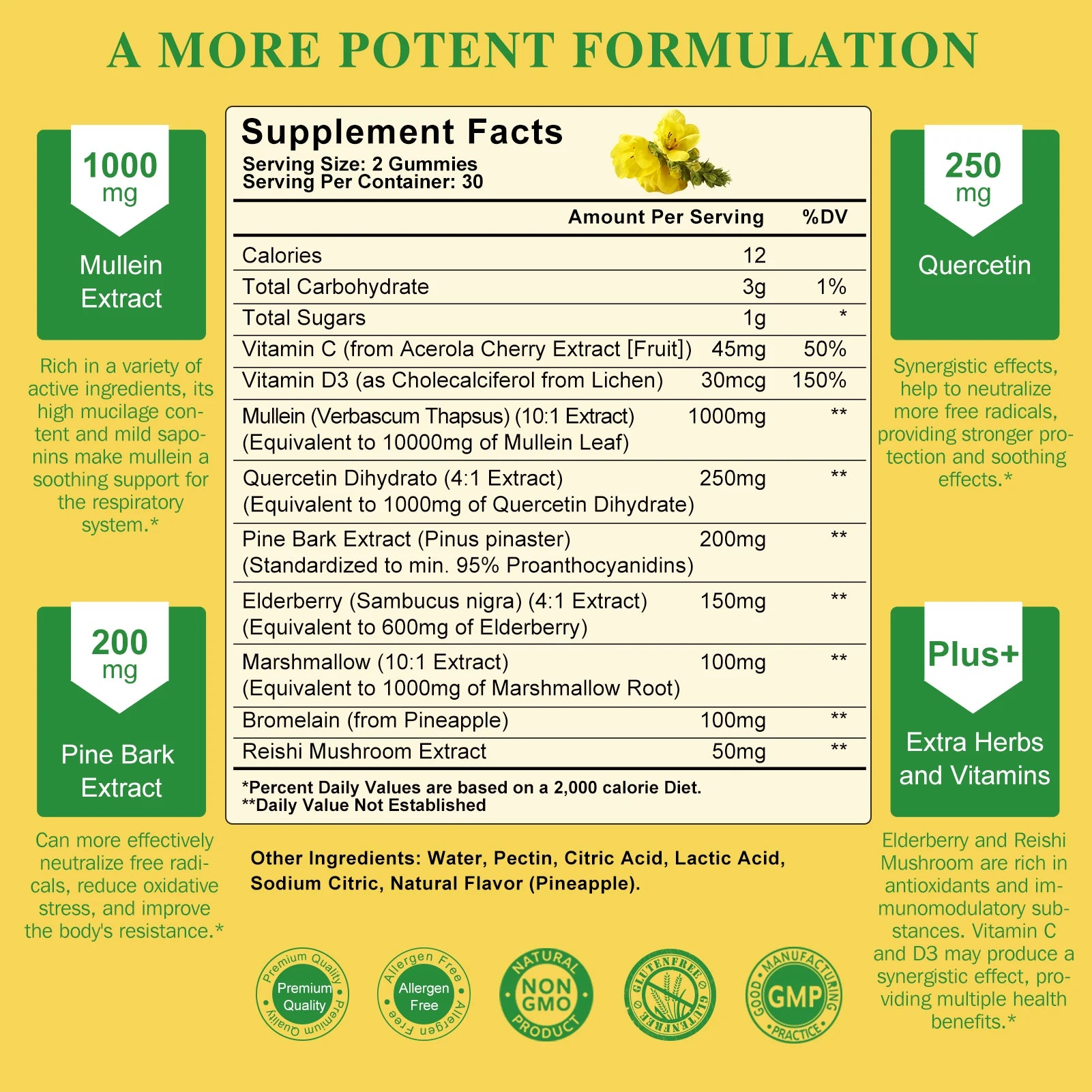 Lukaree 2Bottles 1000mg Mullein Gummies Lung Cleanse Support Respiratory Health Support Immune Health and Antioxidant Oasis Select