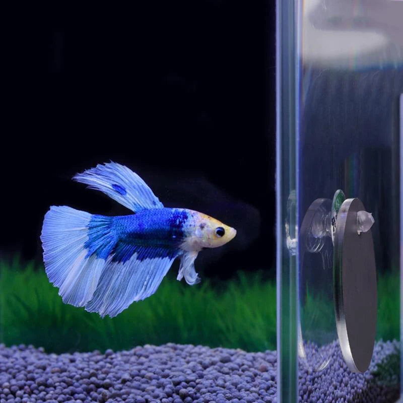 Aquarium Betta Mirror Fish Tank Floating Round Mirror for Fish Betta Flowerhorn Cichlid Training Oasis Select