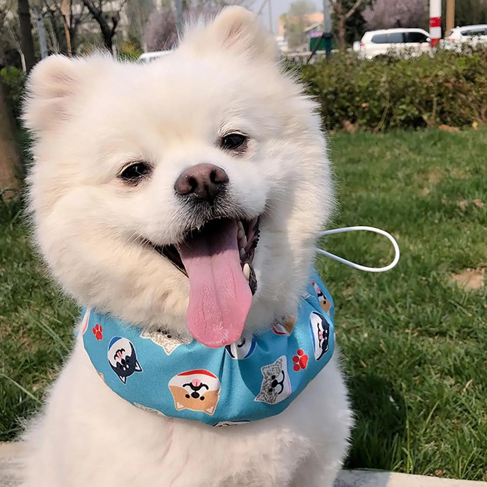 Pet Cooling Bandana Cooling Ice Scarf Breathable Towel Heatstroke Dogs Cats Ice Collar Cat Adjustable Collar Bib Pet Supplies Oasis Select