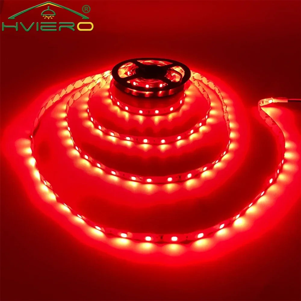 5M 300 LED SMD2835 Flexible Light Strip – Indoor & Outdoor
