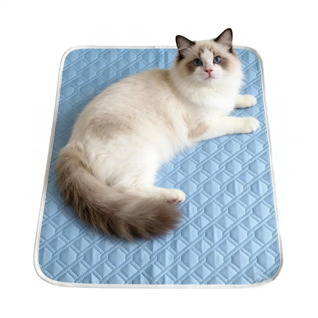 Cooling Pad for Dog Sweat Absorbent Sleeping Rug 45x35cm Soft Self Cooling Pet Mat for Small Medium Large Dog Kitten Crate Oasis Select