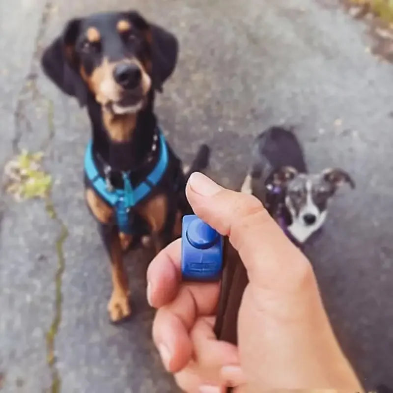 Mini Finger Clicker Pet Training Equipment Rattle Trainer New Ring Obedience Dog Training Clicker Essential Pet Supplies Oasis Select