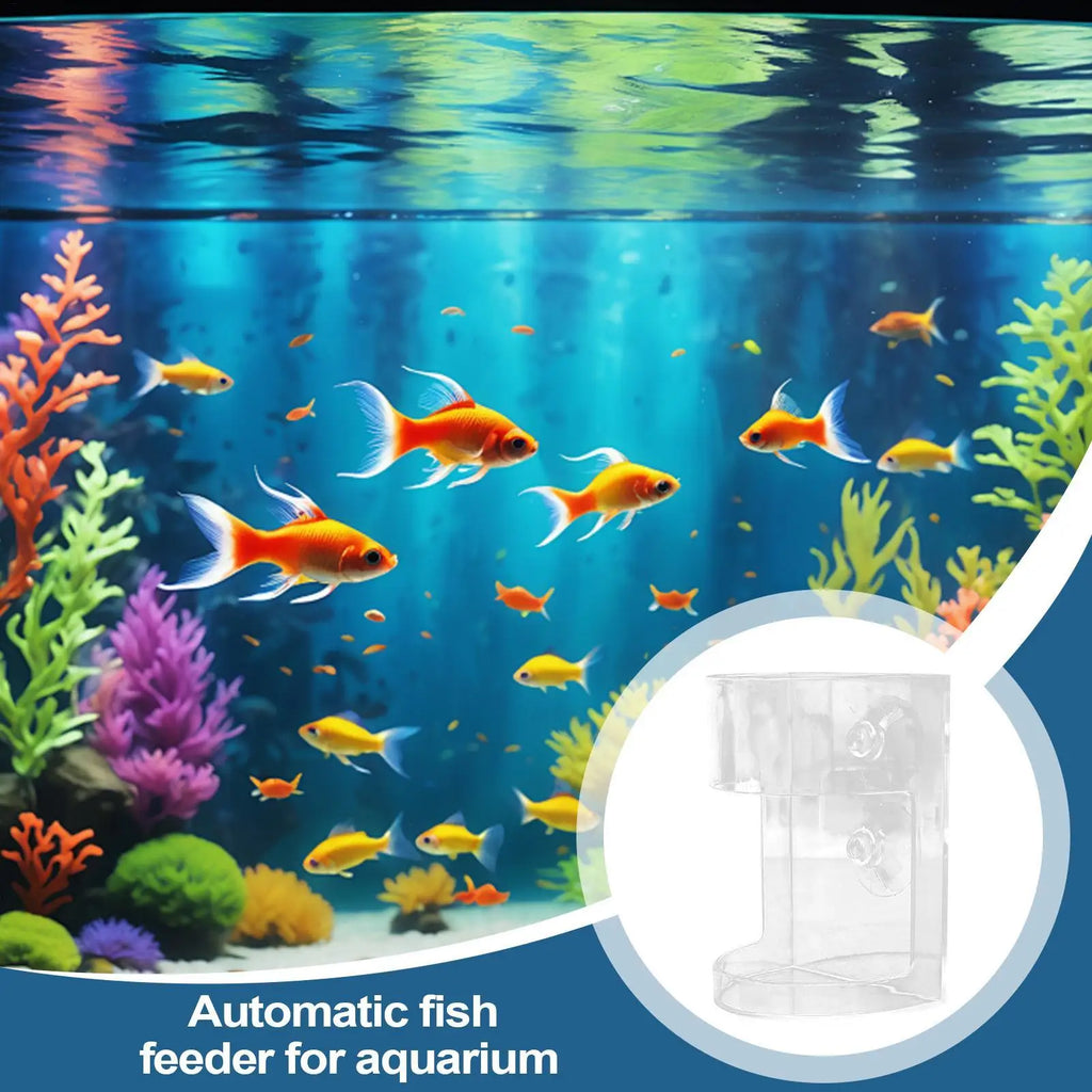 Fish Food Dispenser Transparent Fish Feeding Dish Large Capacity Anti-Drifting Suction Shrimp Feeding Dish for Hatchery Breeding Oasis Select