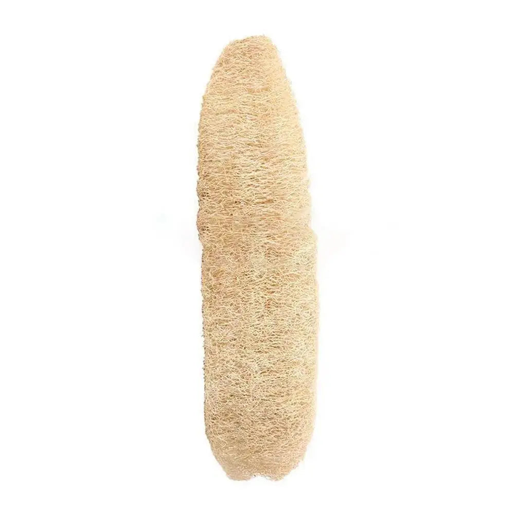 Natural Loofah Sponge – Organic Exfoliating Body Scrubber Exfoliating Body Scrubber Oasis Select 1PC