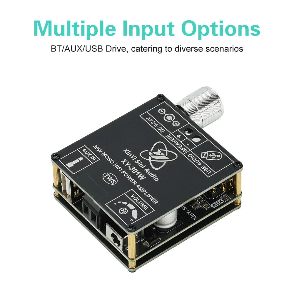 XY-301W Mono 30W Bluetooth Digital Audio Amplifier Board TWS True Wireless Box Connection Stereo DC 9-24V Oasis Select