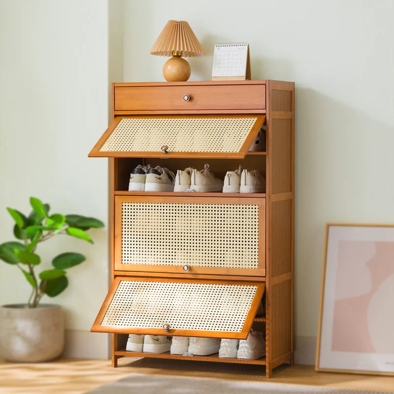 rack household economical indoor simple door storage artifact large capacity multi-layer with cabinet door dust shoe cabinet Oasis Select 3-70 1