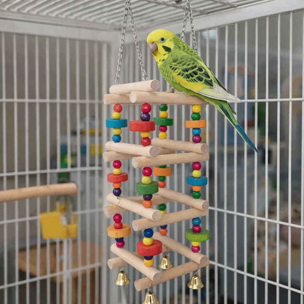 Colorful Wooden Parrot Climbing Ladder Toy with Bells | Bird Cage