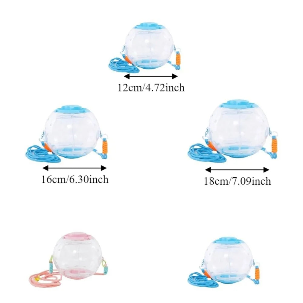 Transparent Hamster Travel Cage | Breathable & Escape-Proof