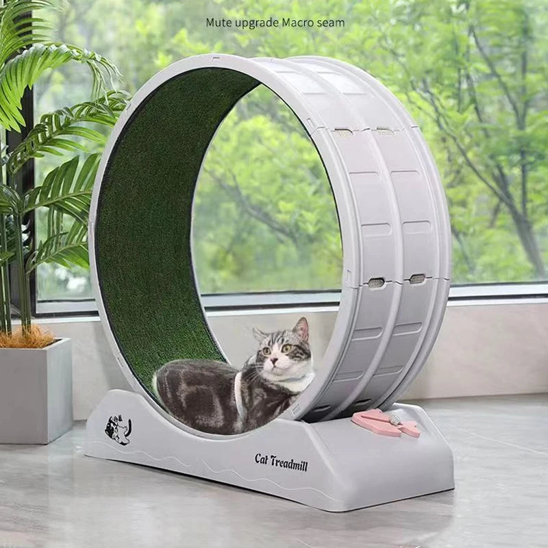 Cat Toys Silent Treadmill Wear-Resistant 0 Formaldehyde Cat Fitness Treadmill Wheels Sustainable Cat Play Cat Accessories Oasis Select