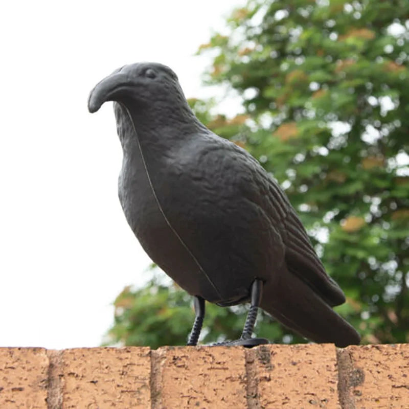 Simulation Black Raven Bird Crow Natural Prop Scary Pest Repellent Control Pigeon Repellent Raven Decoration Party Supplies Oasis Select