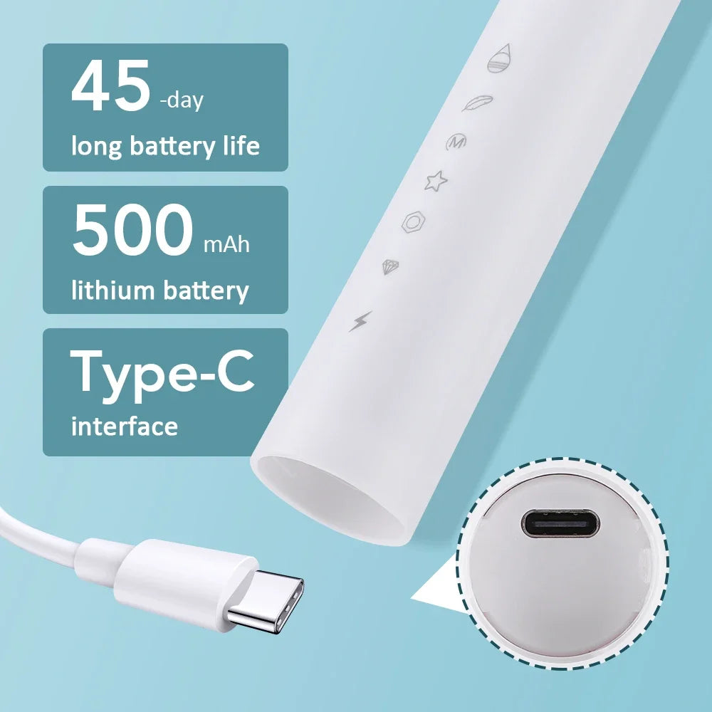 Hailicare Sonic Electric Toothbrush 6 Modes, 4 Heads, IPX67