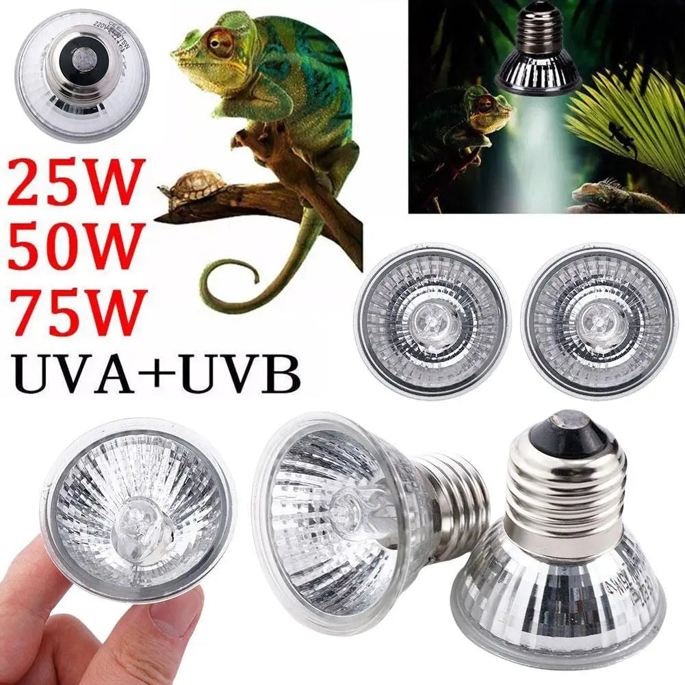 UVA UVB Reptile Heat Lamp 20/50/75W – Full Spectrum Basking