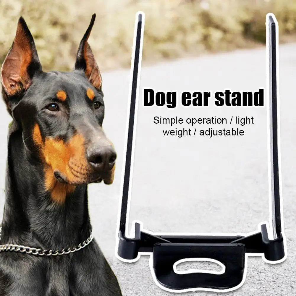 Doberman Ear Stand Support Tool – Adjustable Training Post