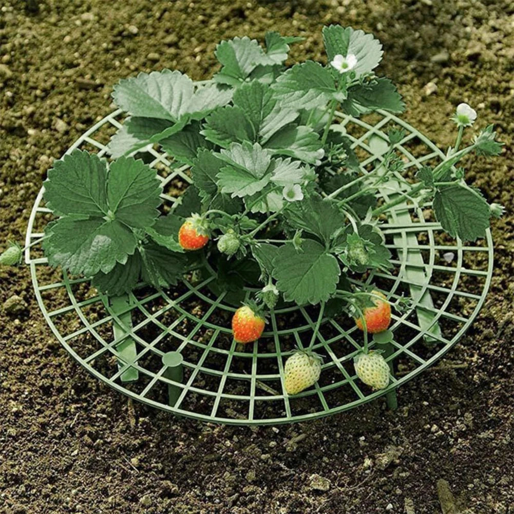10pcs Plant Support Strawberry Rack Climbing Vine Props Flower Pillar Gardening Bracket Keeping Elevated To Avoid Ground Rot Oasis Select
