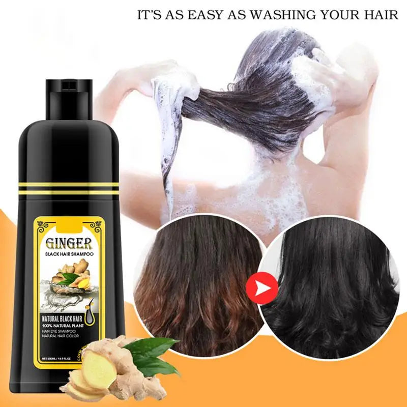 500ml Ginger shampoo coconut Shampoo Natural Hair Dye Shampoo Blacking Gray Hair Dye Black Shampoo For White Coloring Oasis Select