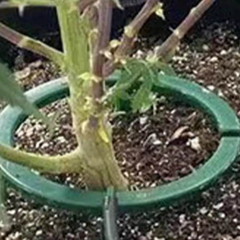 Plant Water Ring Drip Irrigation Watering Ring Hydro Halo Ring Sturdy Water Ring For Watering Plants Ideal Water Distribution Oasis Select