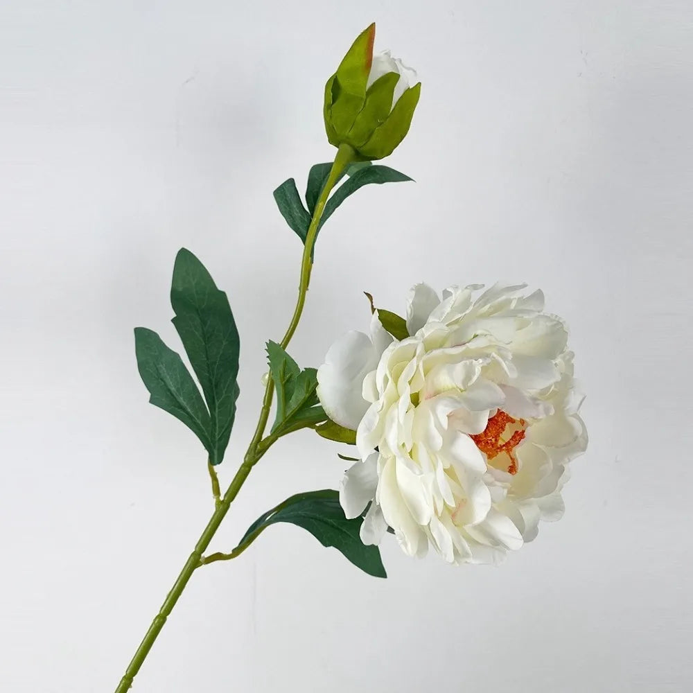 Silk Peony Artificial Flower Branch 68cm | 2 Heads Real Touch