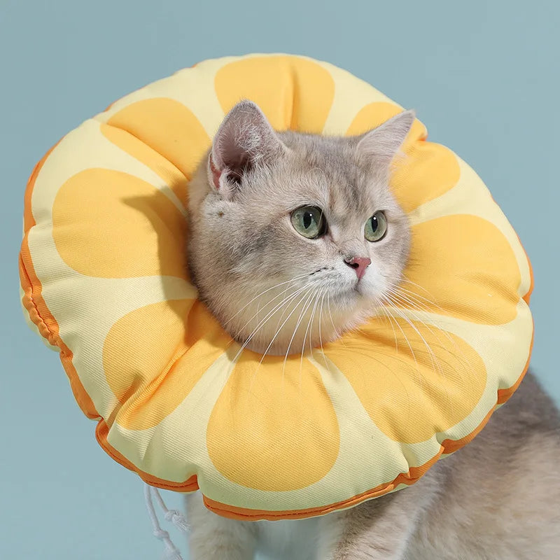 Cat Elizabeth Circle Kitten Anti-licking Bites Shame Collar Headband Dog Neck Cyclops Sterilized Neck Cover Pet Jewel Oasis Select