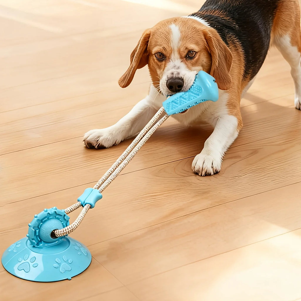 Dog Toy Suction Interactive Chew Toy Teeth Grinding Ball with Food Dispenser Boredom Buster Energy Expenditure Pet Supplies Oasis Select Orange