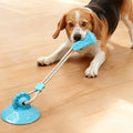 Dog Toy Suction Interactive Chew Toy Teeth Grinding Ball with Food Dispenser Boredom Buster Energy Expenditure Pet Supplies Oasis Select Orange
