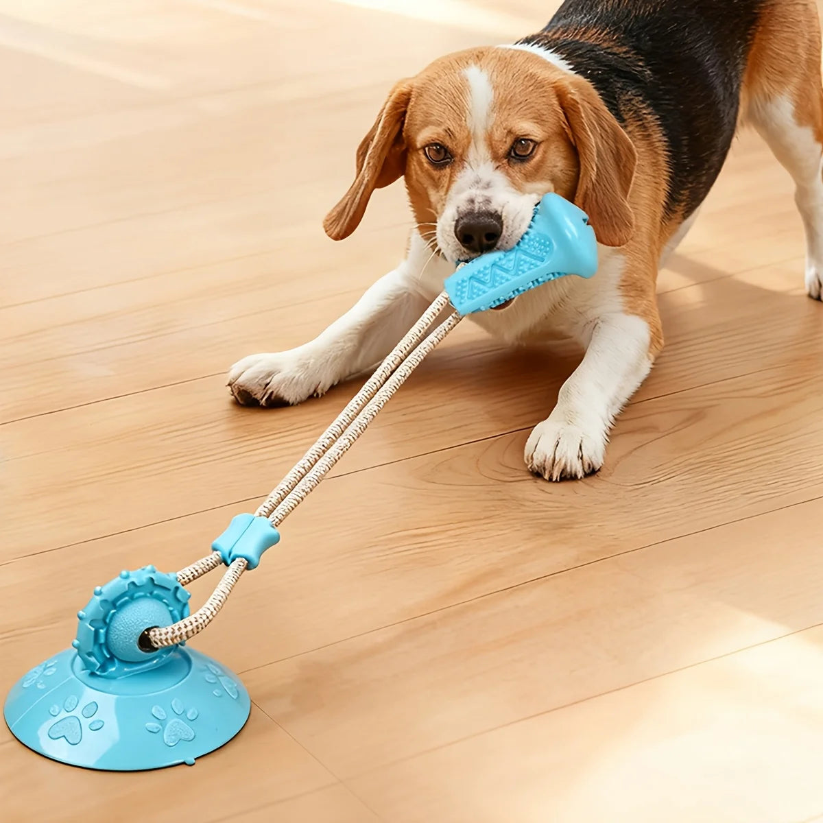 Dog Toy Suction Interactive Chew Toy Teeth Grinding Ball with Food Dispenser Boredom Buster Energy Expenditure Pet Supplies Oasis Select Orange