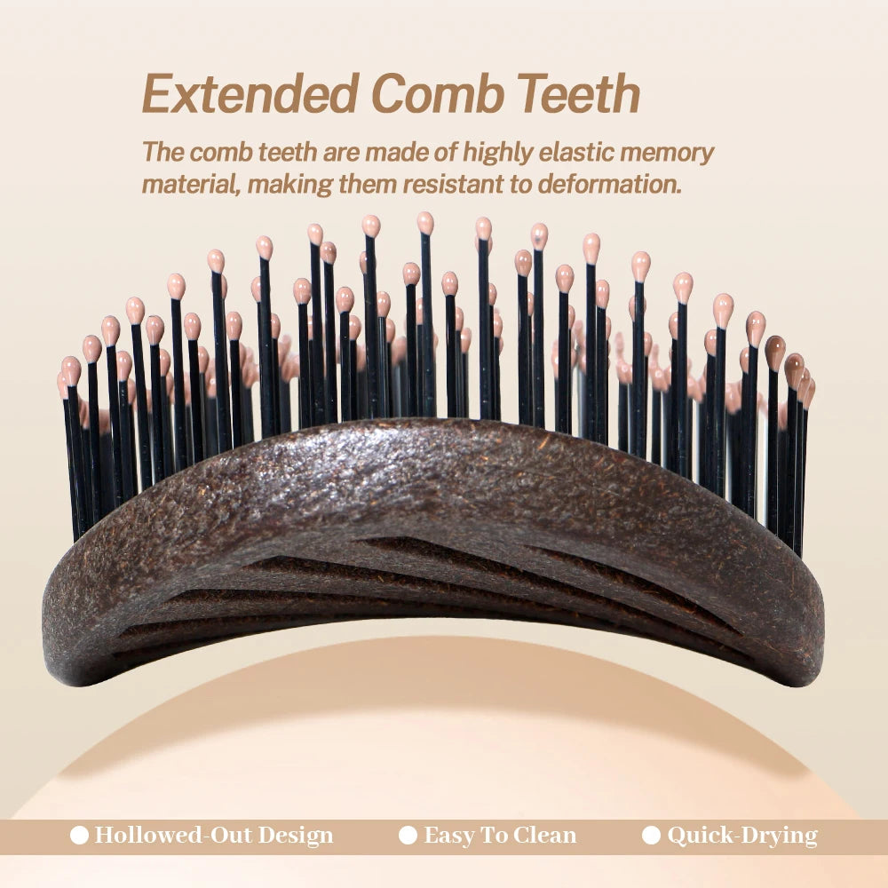 Hollow Boar Bristle Hair Brush – Detangling & Scalp Massage Detangling Hair Brush Oasis Select