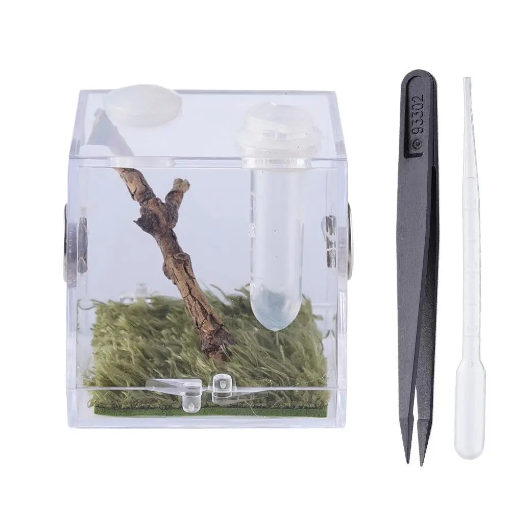 Small Reptile Feeding Box Transparent Acrylic Jumping Spider Breeding Box Habitat Small Insect Container Humidifier Feeding Box Oasis Select M